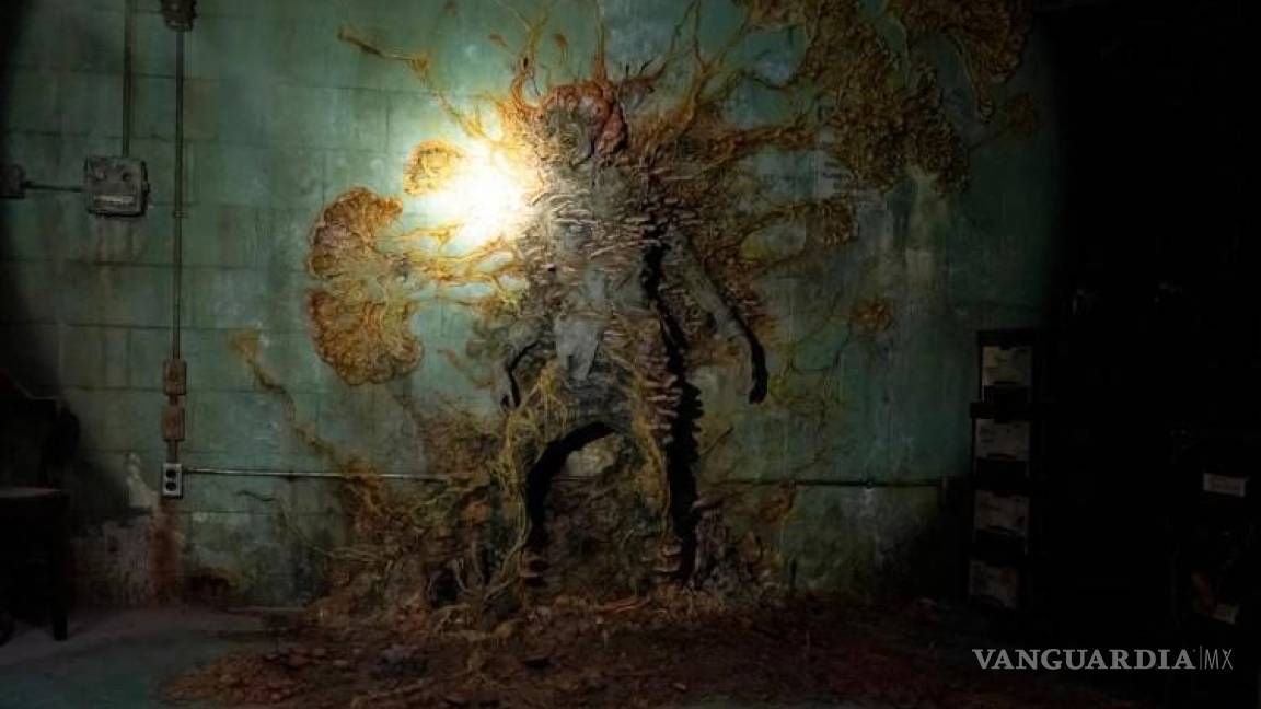 Cordyceps, el hongo de ‘The Last of Us’ es real y vuelve a los insectos en ‘zombis’