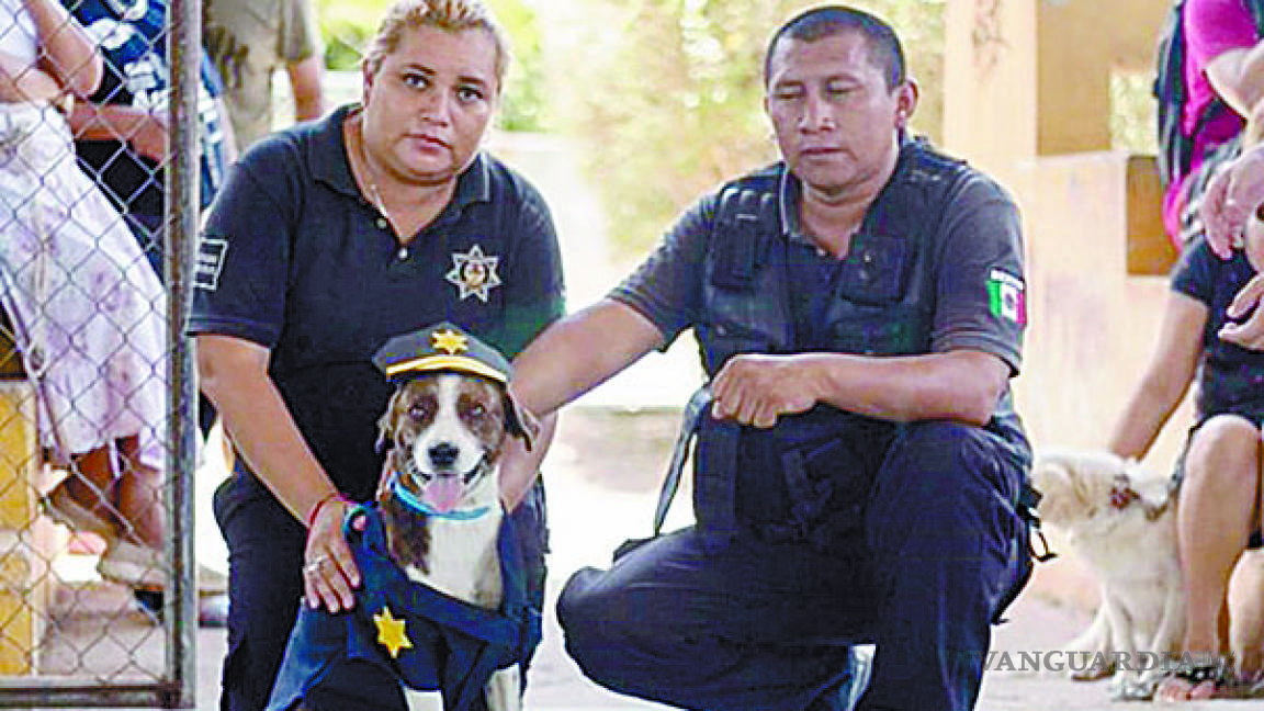 ‘Chilaquil’, de perro con desnutrición a policía de narcóticos