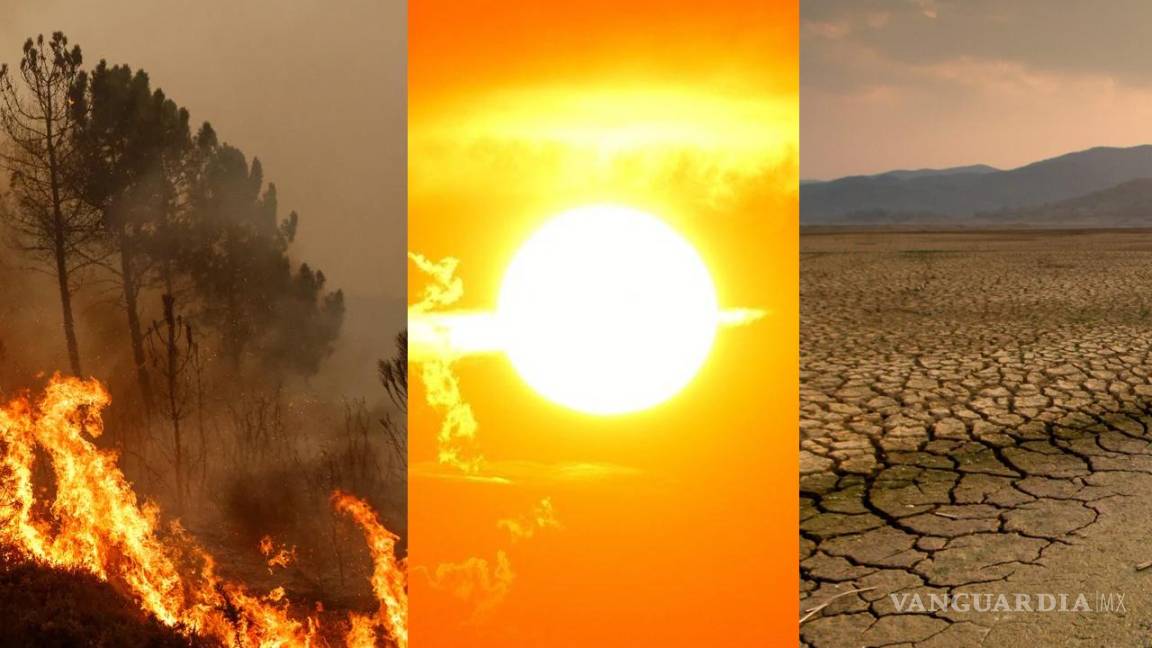 ‘El colapso climático ha comenzado’... advierten expertos que este verano fue el más caluroso desde hace 120 mil años