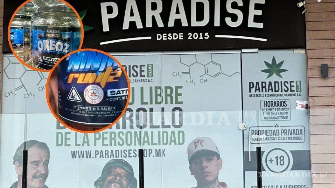 Saltillo: disfrazan con clubes ‘venta’ de mariguana en tiendas Paradise