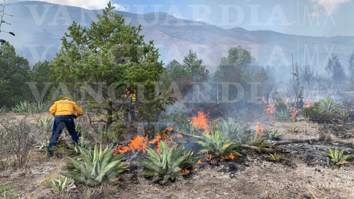 $!FOTO: OMAR SAUCEDO