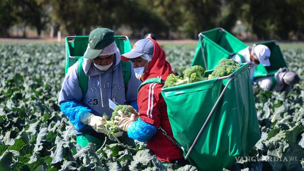 EU analiza imponer sanciones a importaciones agrícolas de México