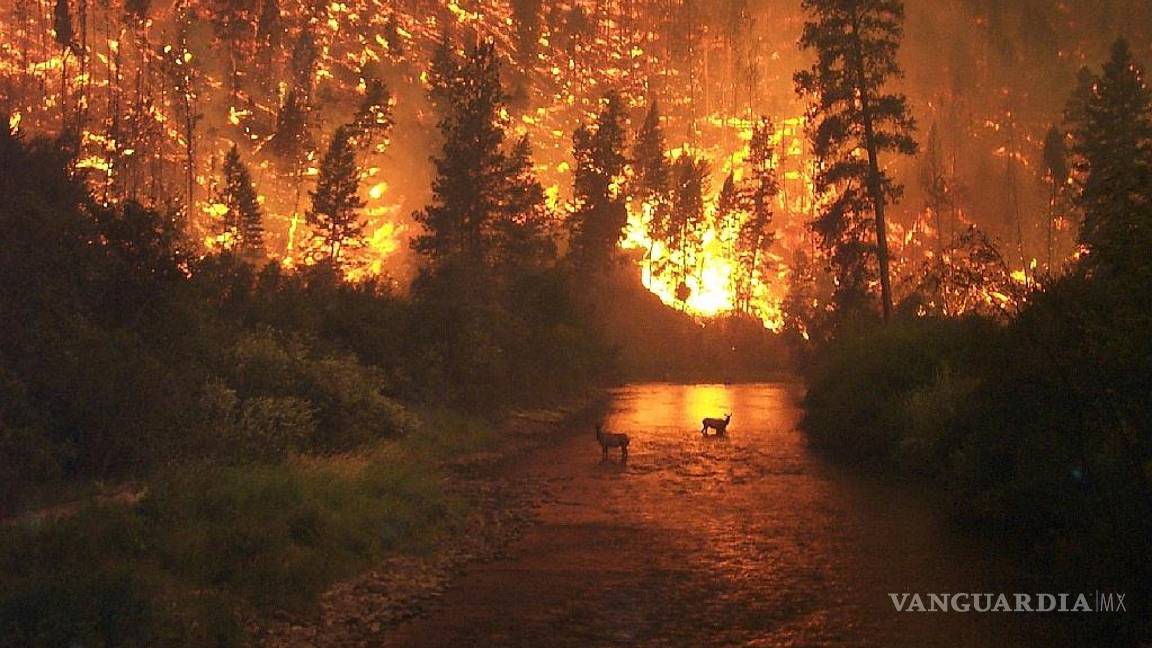 No habrá donde esconderse, empeorarán desastres naturales por cambio climático, alertan