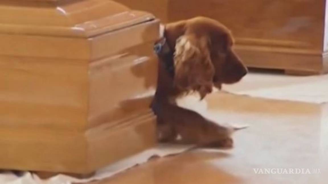 Perro se niega a abandonar ataúd de su dueño en Italia