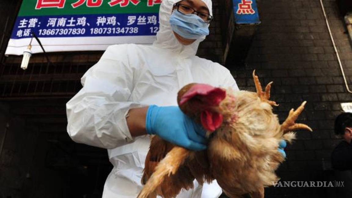 China confirma primer caso humano de gripe aviar H10N3