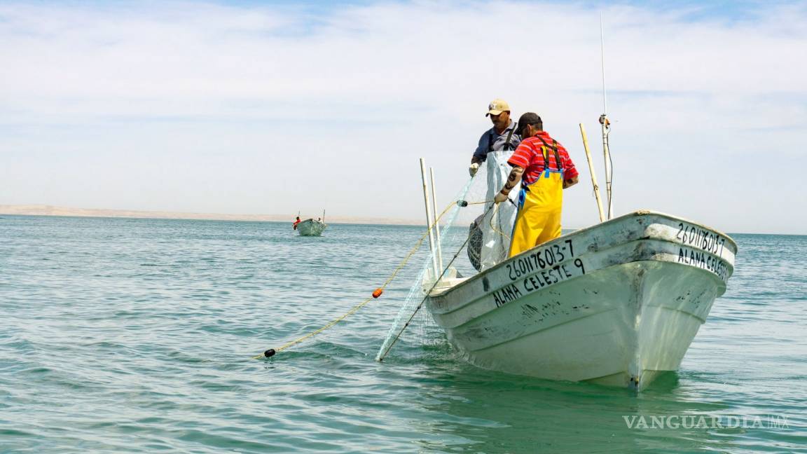 Empieza en México la temporada de pesca tras el fin de la veda