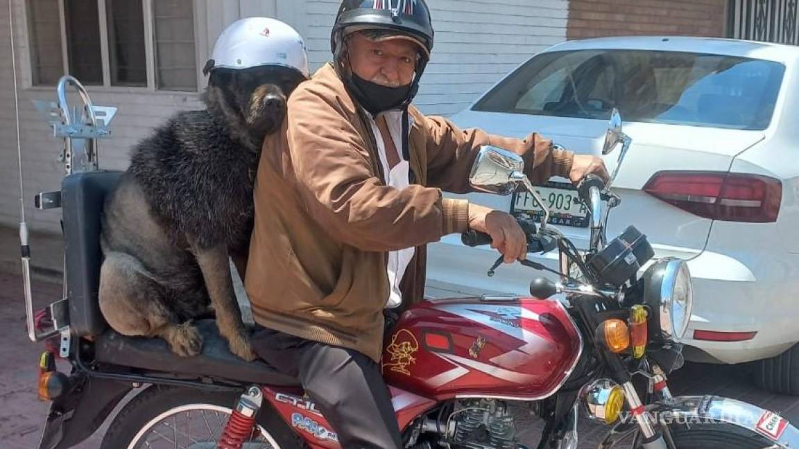 Fallece ‘Oso González Chopper’, el querido perrito motociclista de Saltillo