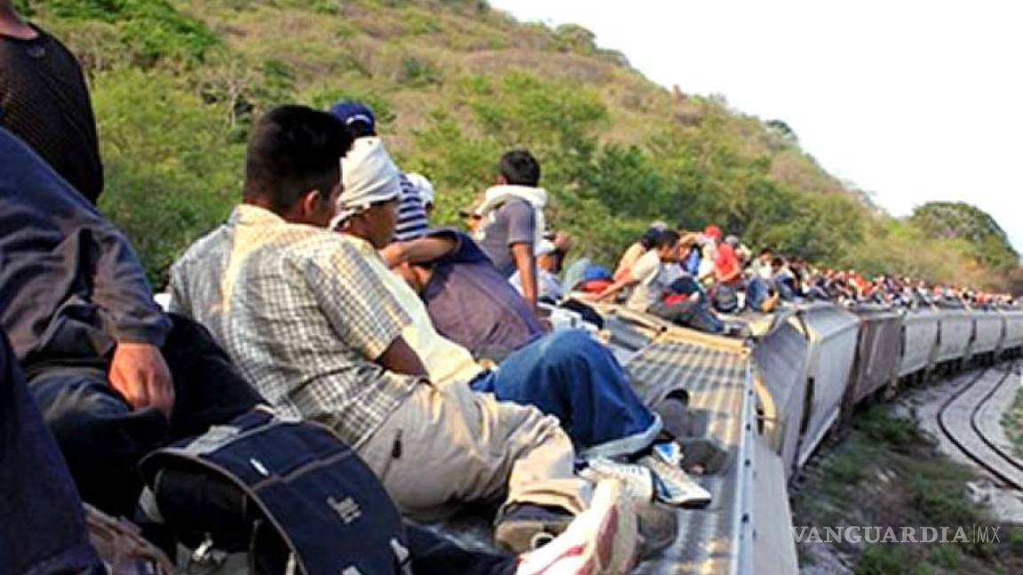 Detienen a 53 migrantes guatemaltecos en Veracruz