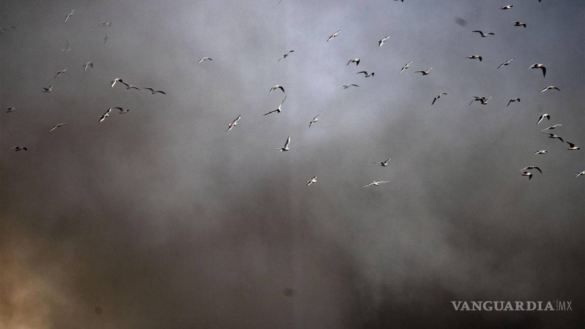 Nube tóxica ahoga a Roma provocada por un incendio en un basurero