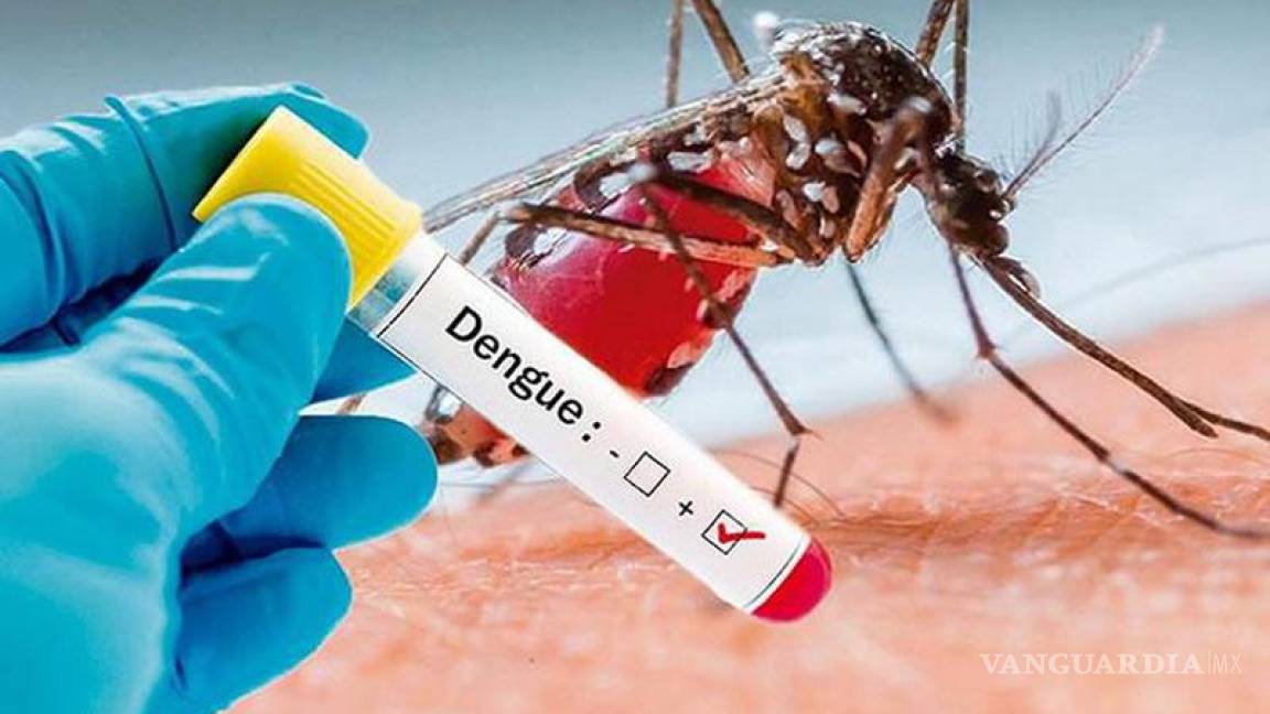 Alerta por el dengue en América Latina