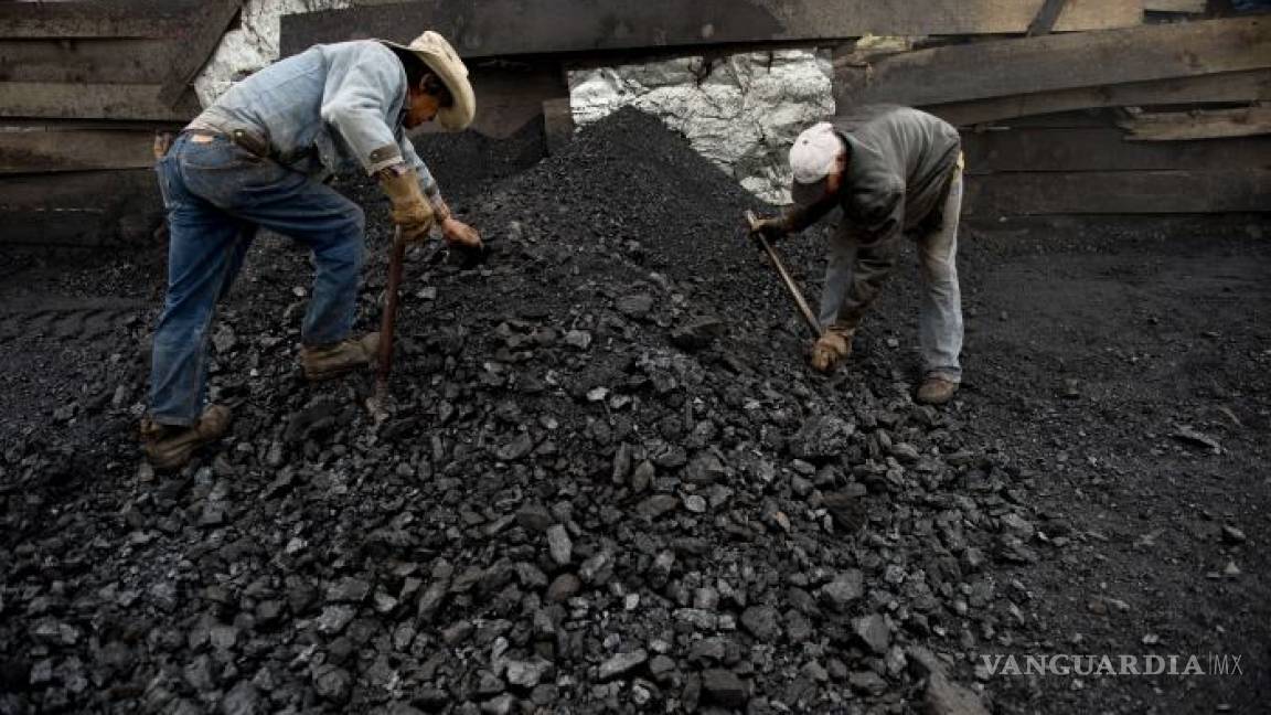 Empresa que gano licitación de compra de carbón le ahorró 10 MDP a CFE