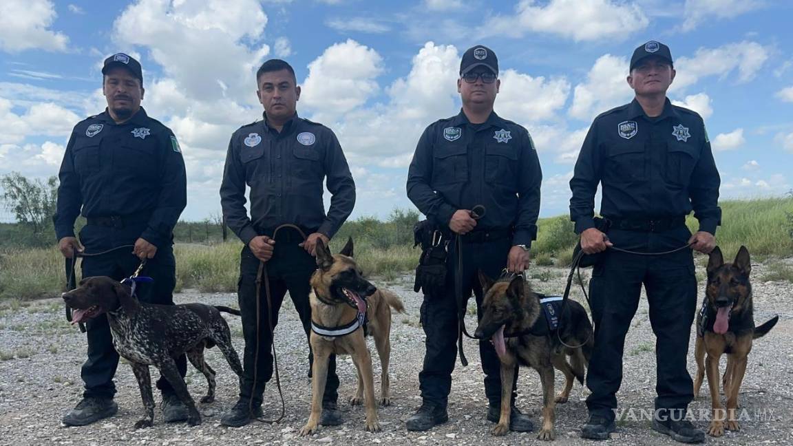 Más binomios caninos de Coahuila se suman a labores de búsqueda en Texas