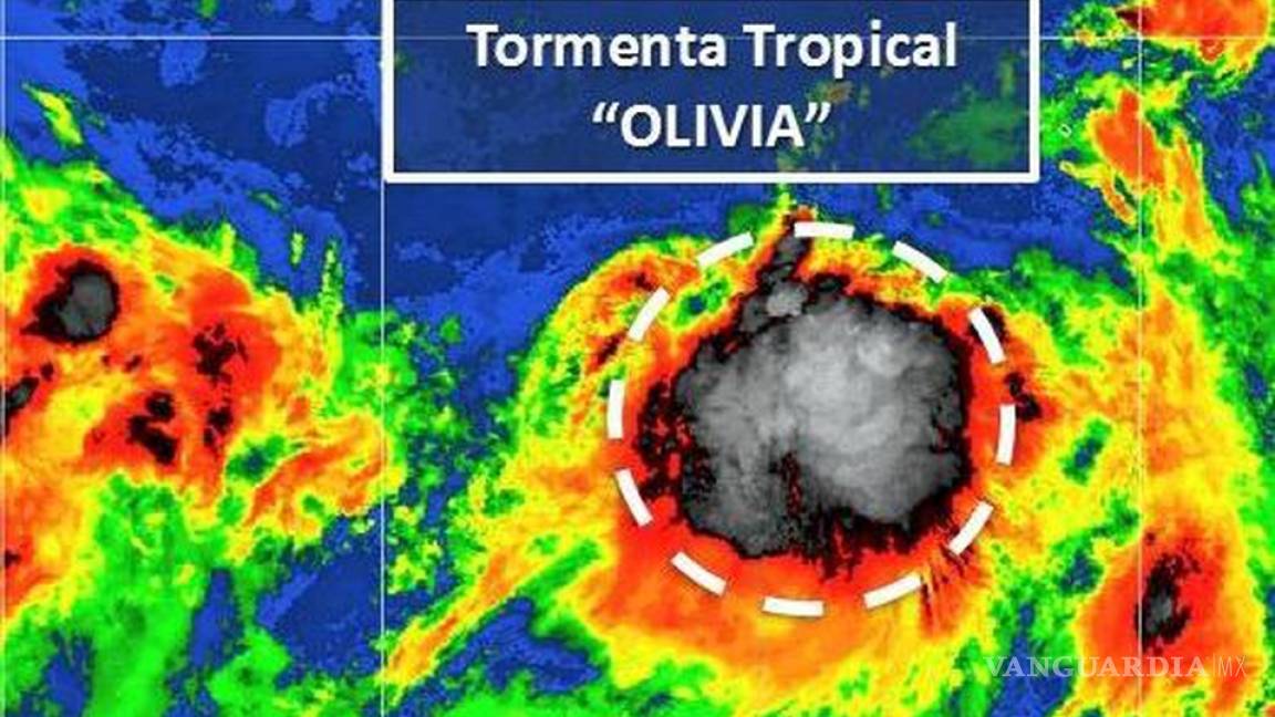 Se forma tormenta tropical 'Olivia' en Baja California Sur