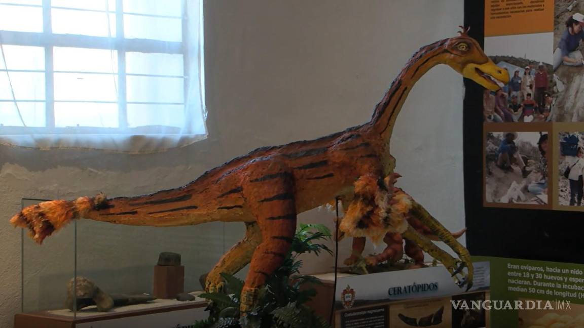 Descubren nueva especie de dinosaurio en Coahuila