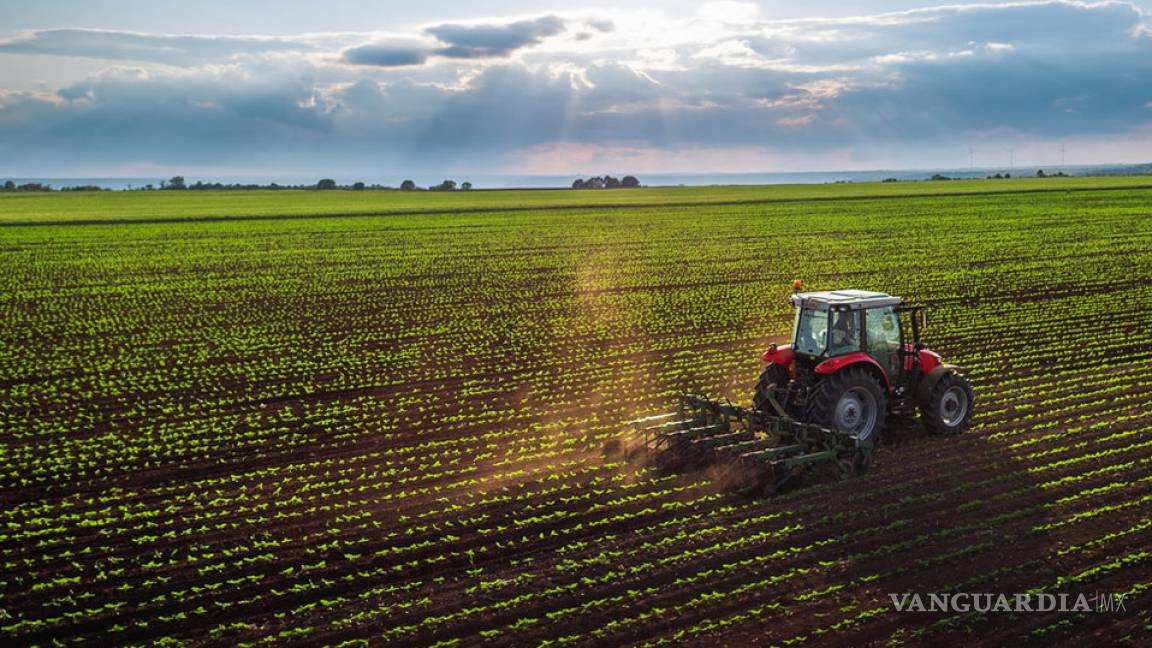 Frena el Senado aumento al cobro del agua en el sector agropecuario que afectaría a productores del campo de Coahuila