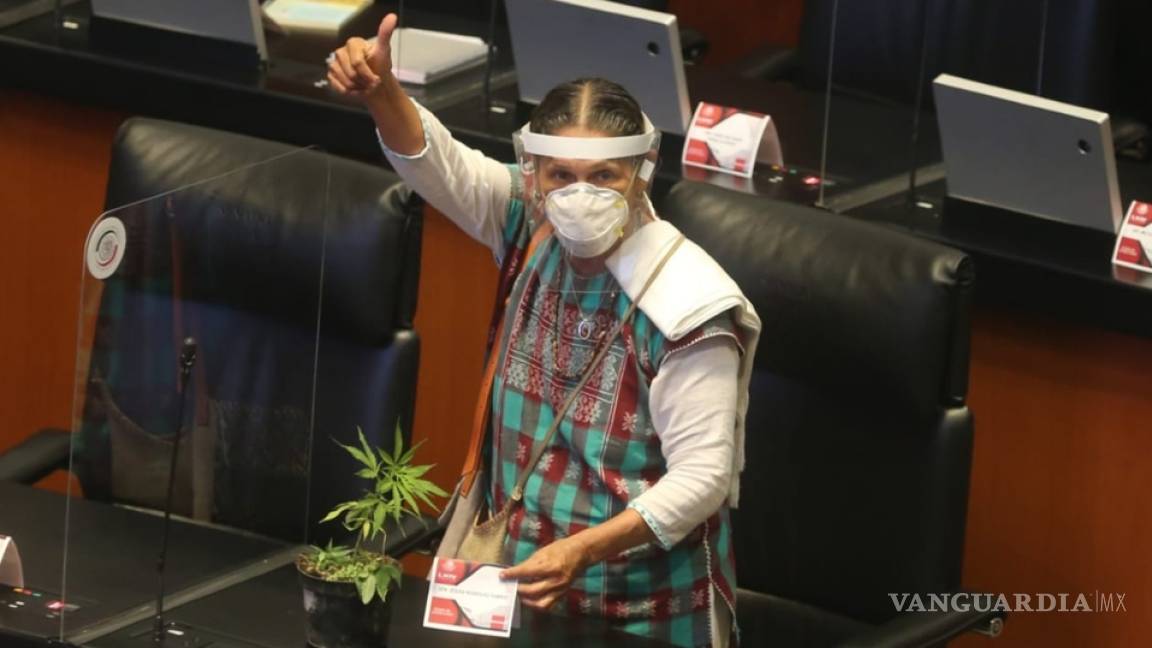 Jesusa Rodríguez decoró su escaño con planta de marihuana