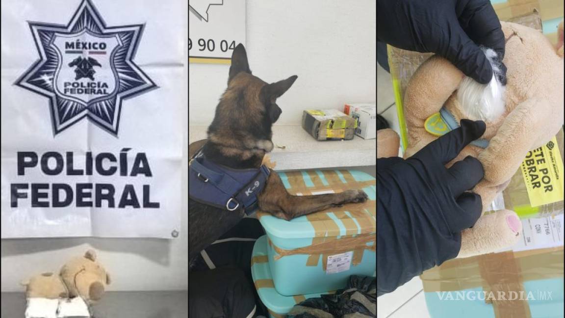 Perro de la Policía Federal detecta perro de peluche con cocaína