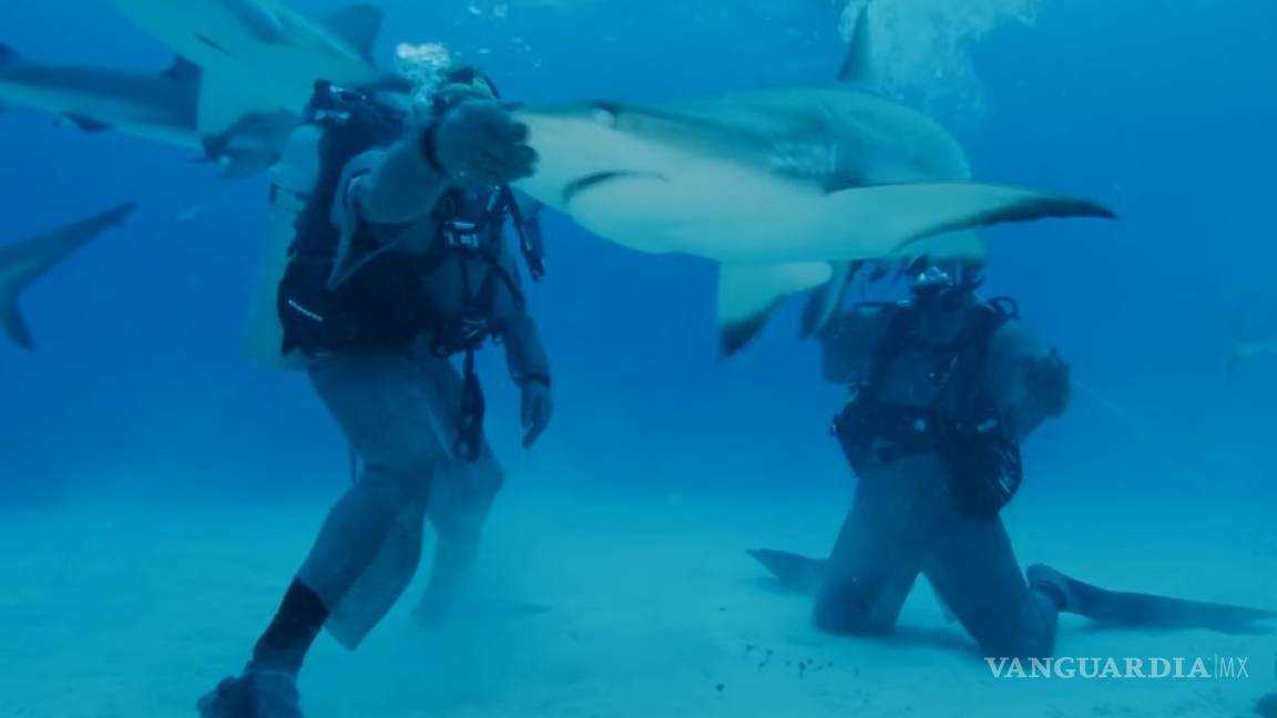 Mike Tyson 'noqueó' a un tiburón con tocar su nariz