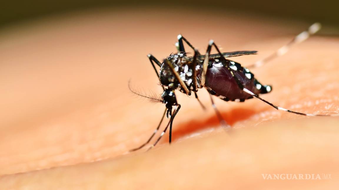 Se disparan 312% casos de dengue