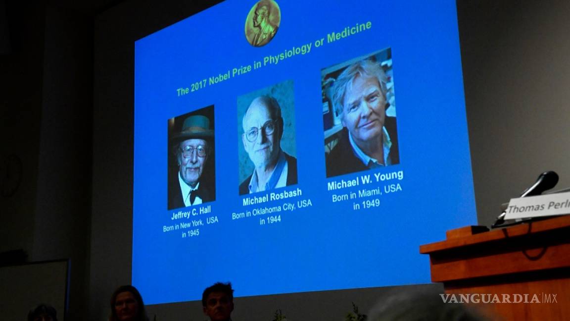 Dan el Nobel de Medicina a descubrimientos sobre el reloj biológico