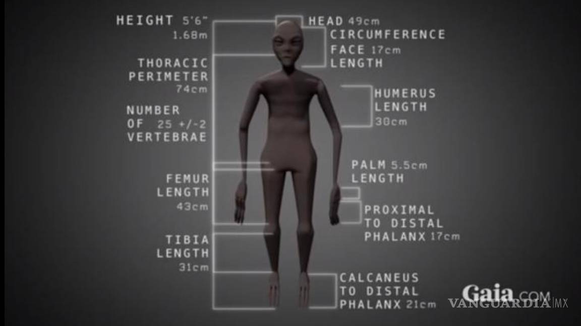 $!Descubren polémica momia "extraterrestre" en Perú