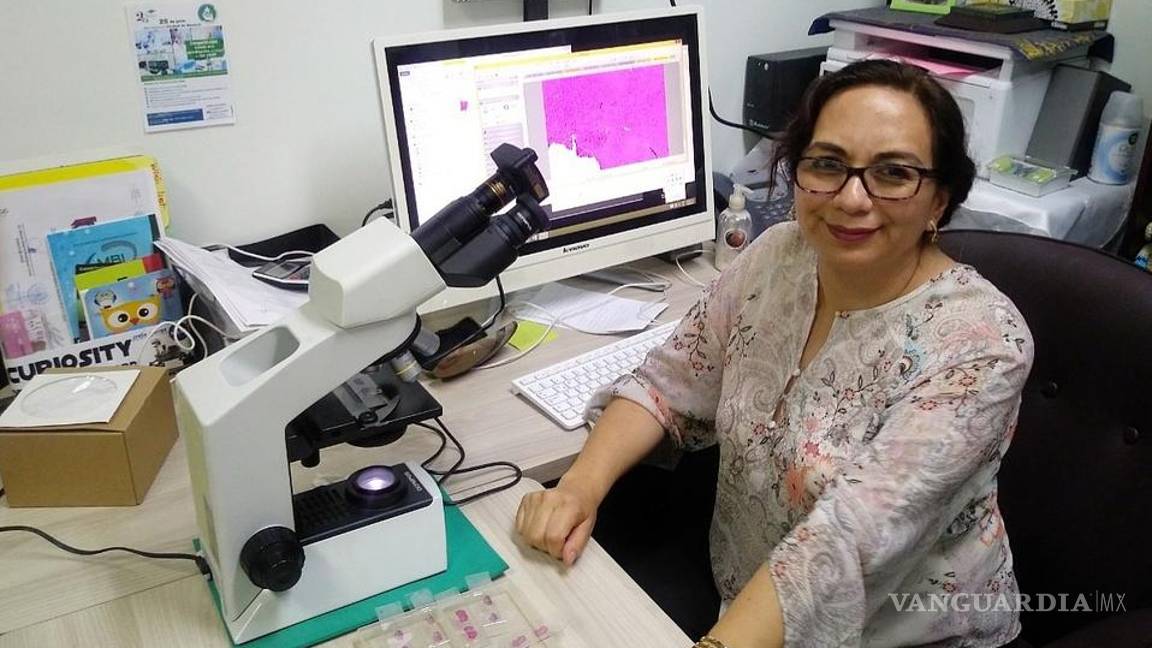 $!COVID-19 puede dañar el páncreas y provocar diabetes: experta del IPN