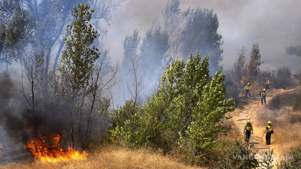 Causan incendio forestal por ‘revelar sexo de bebé’