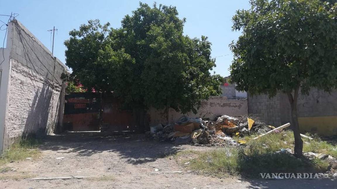 En Torreón presunto ladrón huye de policías y muere por ataque de perros pitbull
