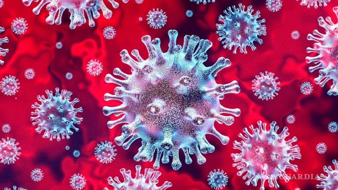 Las seis cosas que necesitas conocer sobre el Coronavirus de Wuhan para saber si estás o no en riesgo de contagio