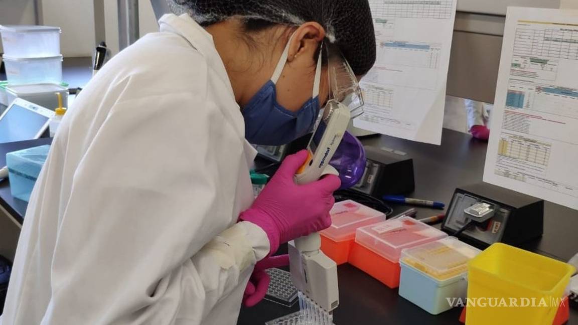 $!Crea la UNAM biosensor para detectar COVID-19 de manera rápida y barata