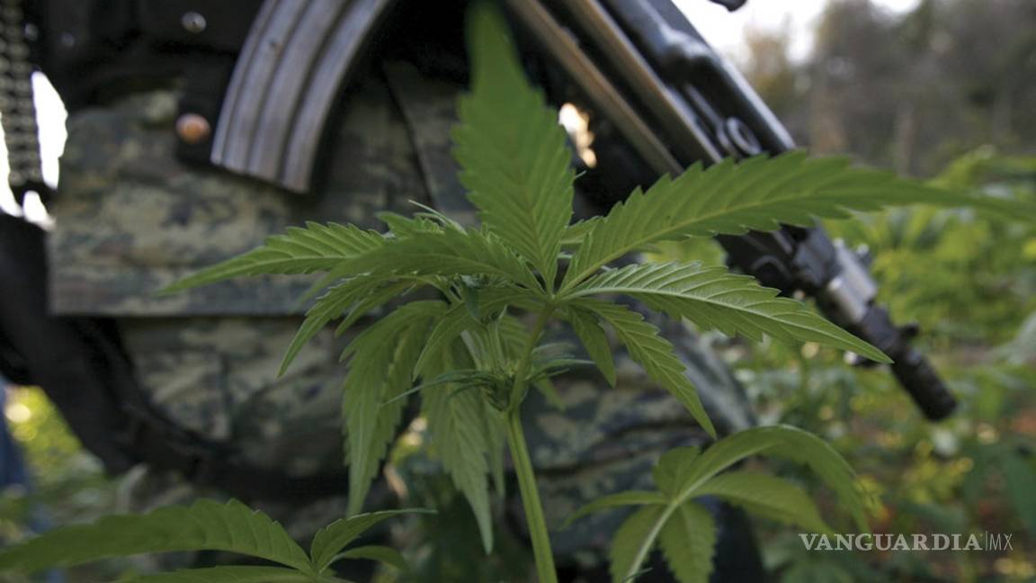 $!Esto es lo que gana un sicario al servicio de 'El Mencho' en el Cártel Jalisco Nueva Generación (video)