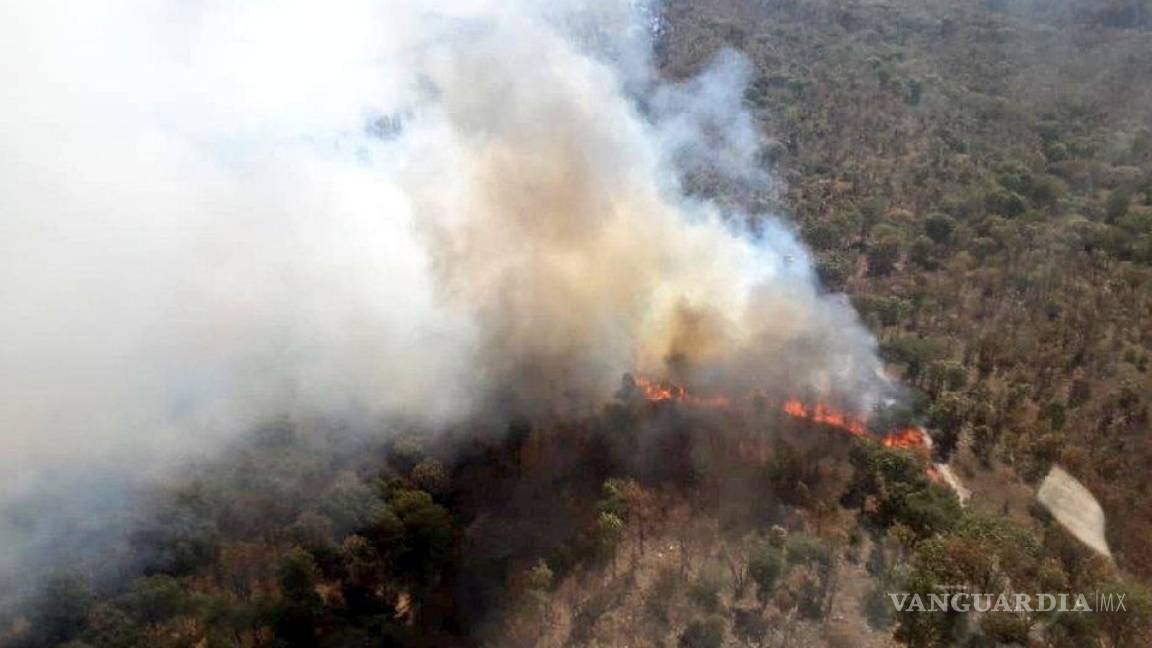Nuevo incendio en La Primavera consumió casi 2 mil hectáreas
