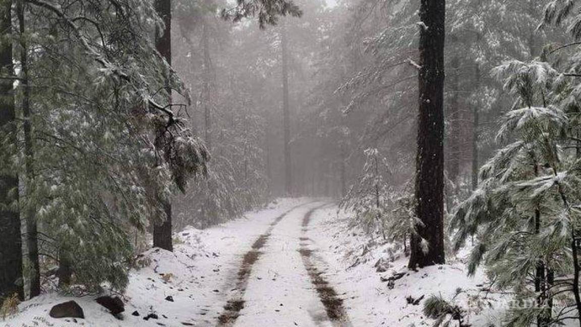 ¡Huele a Navidad!... Se registra primera nevada de la temporada en Chihuahua: protección civil emite alertas por bajas temperaturas en la sierra