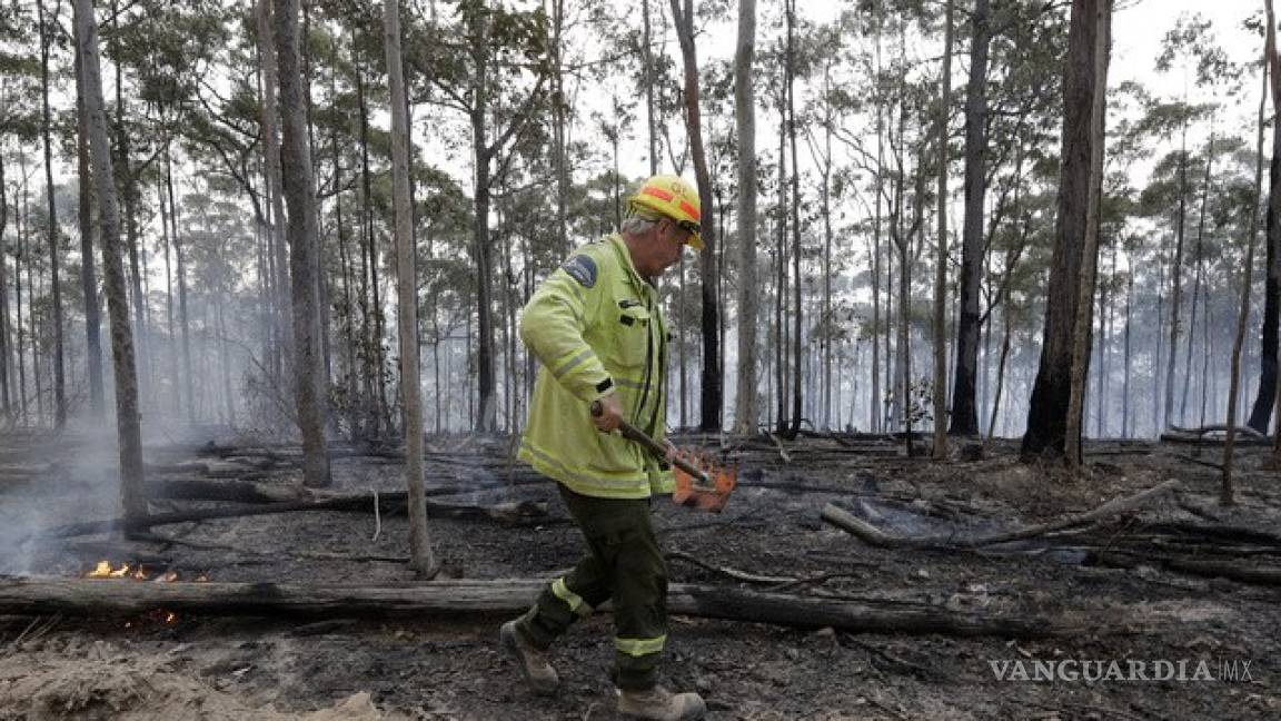 Avanza ofensiva a los incendios forestales en Australia
