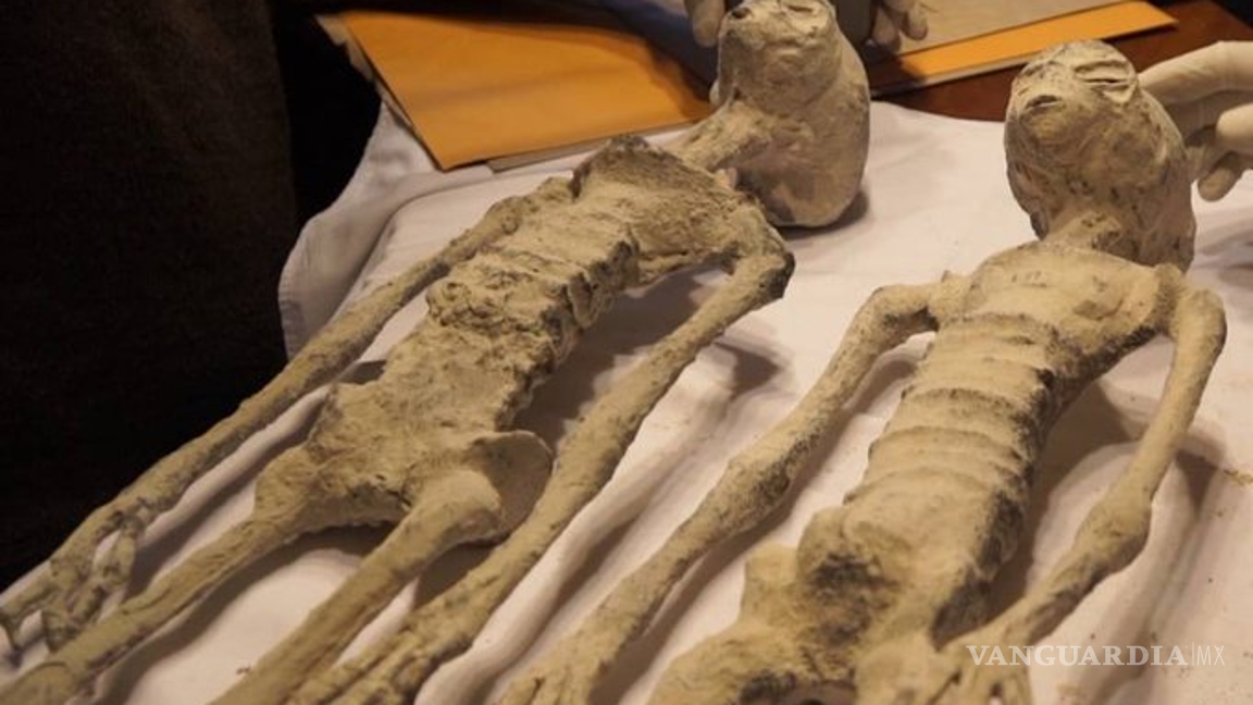 $!Maussan no respondió de inmediato a una solicitud de comentarios