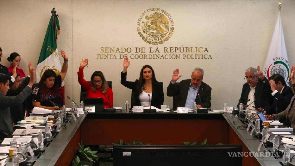 Pasa al pleno del Senado iniciativa para reducir edad para ser diputado y secretario de Estado