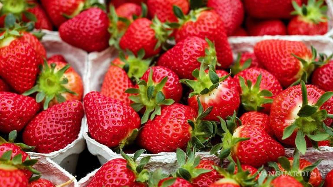 Investiga EU fresas mexicanas por posible hepatitis A