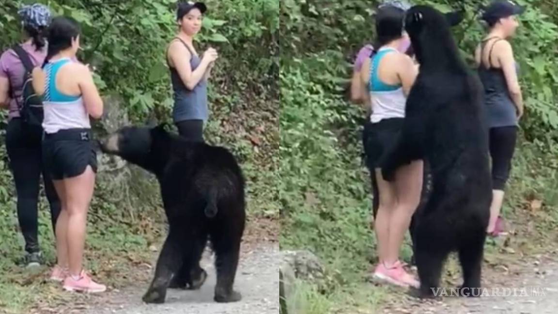 Protestan en Nuevo León por traslado de ‘oso amigable’