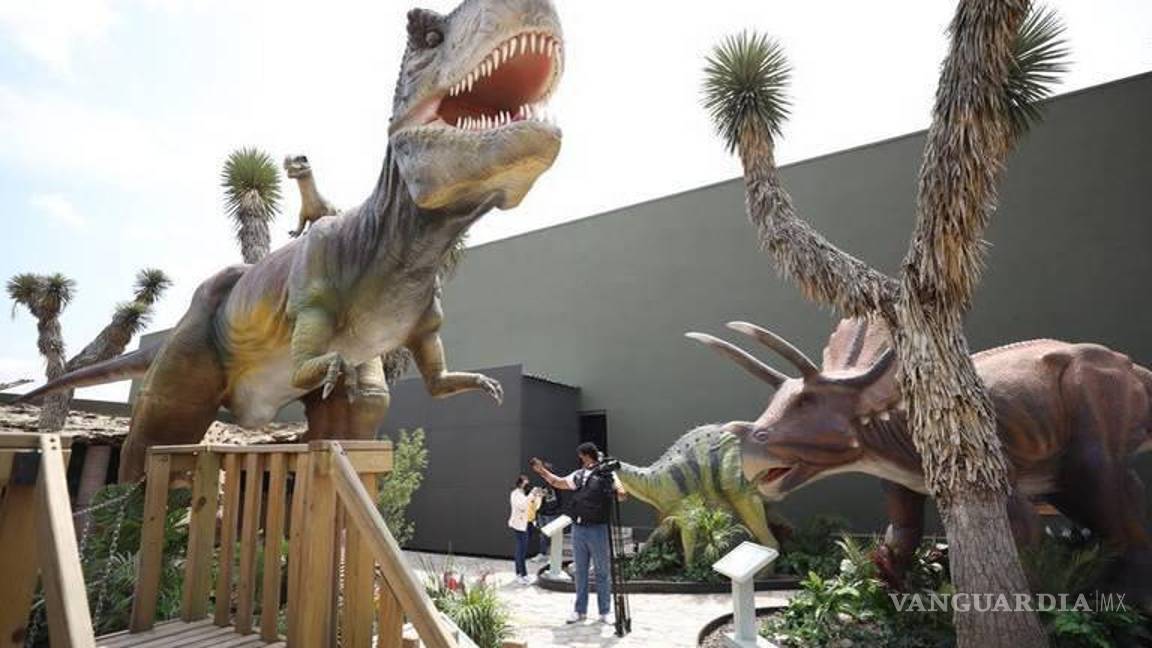 $!En la década de 1990, se descubrió en Coahuila un esqueleto de mamut lanudo perfectamente conservado.