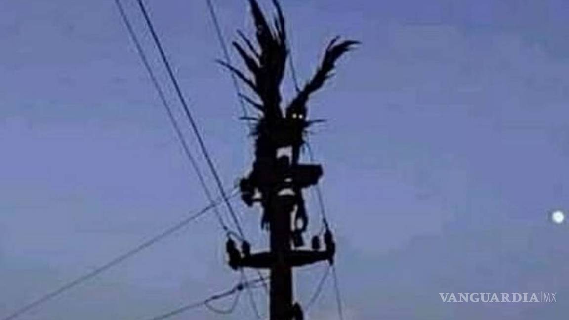 $!¿Qué es el hombre pájaro?... la criatura que presagia catástrofes y ha sido vista en Coahuila, Nuevo León y Tamaulipas