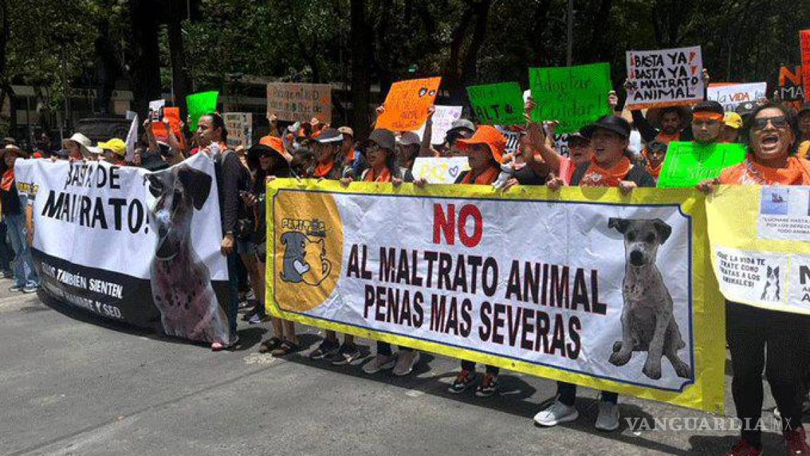 Marchan por los animales en México; miles exigen alto al maltrato animal