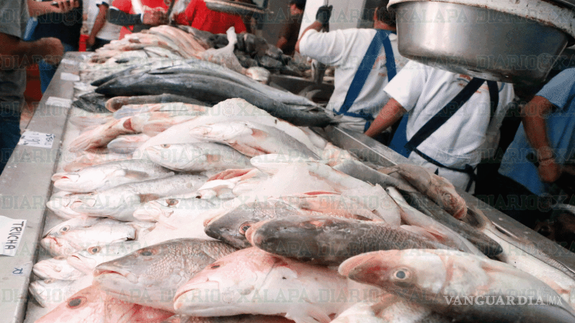 Garantizado el abasto de pescados y mariscos: Conapesca