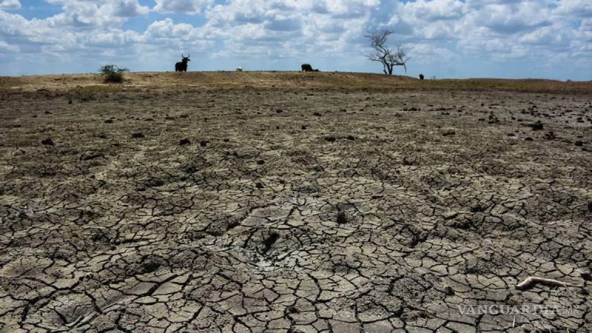 Obliga la sequía a los agricultores a sustituir alimentos que siembran