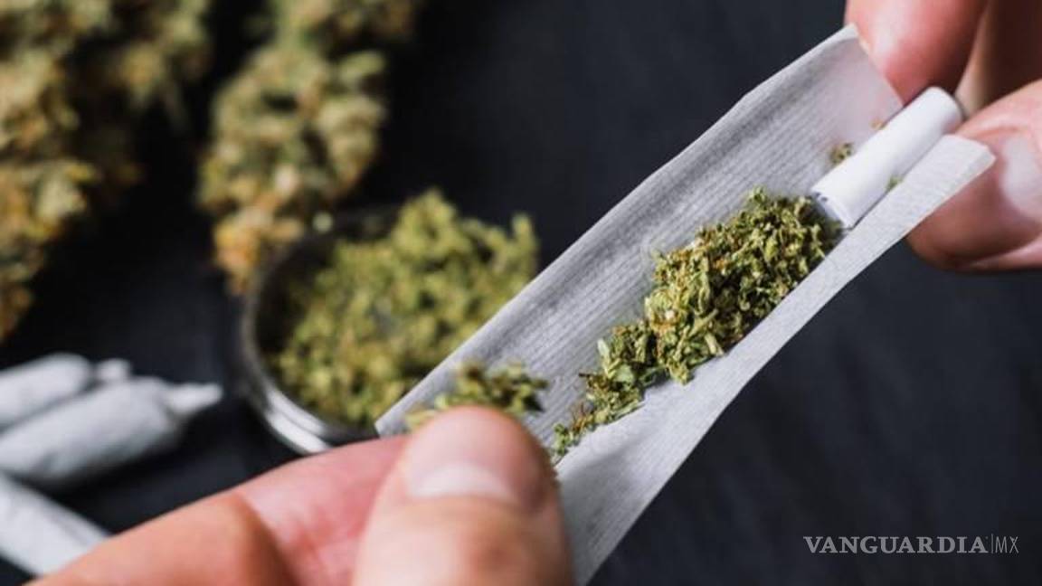 $!Considera demostrado que los adolescentes y los adultos jóvenes consumen mucho más cannabis en los Estados que han legalizado su venta