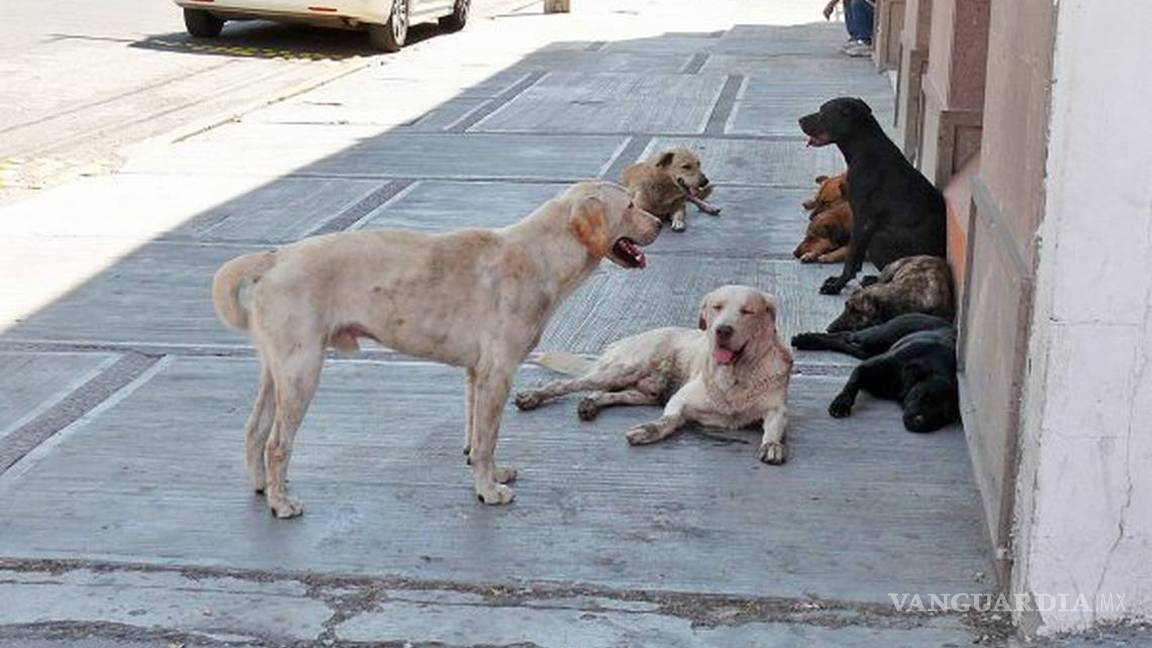 $!Crea Gobierno de Coahuila cuentas en Facebook para promover la observación científica