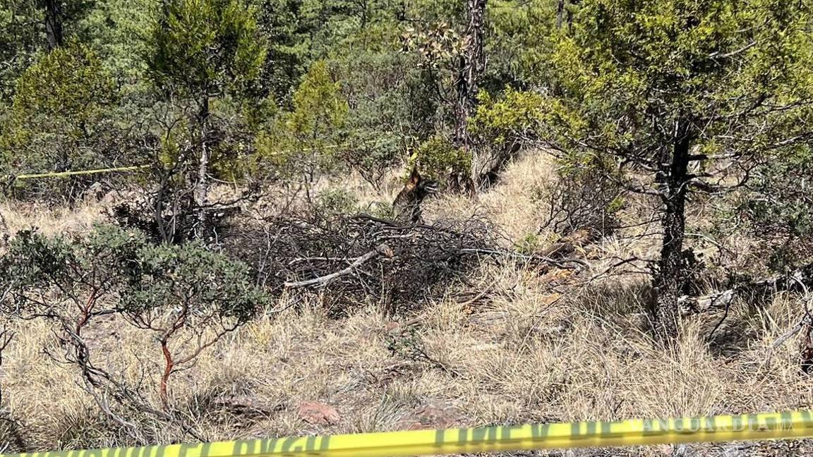 $!Este miércoles se encontró su cadáver en avanzado estado de descomposición en una brecha que conduce a la comunidad de Ceballida