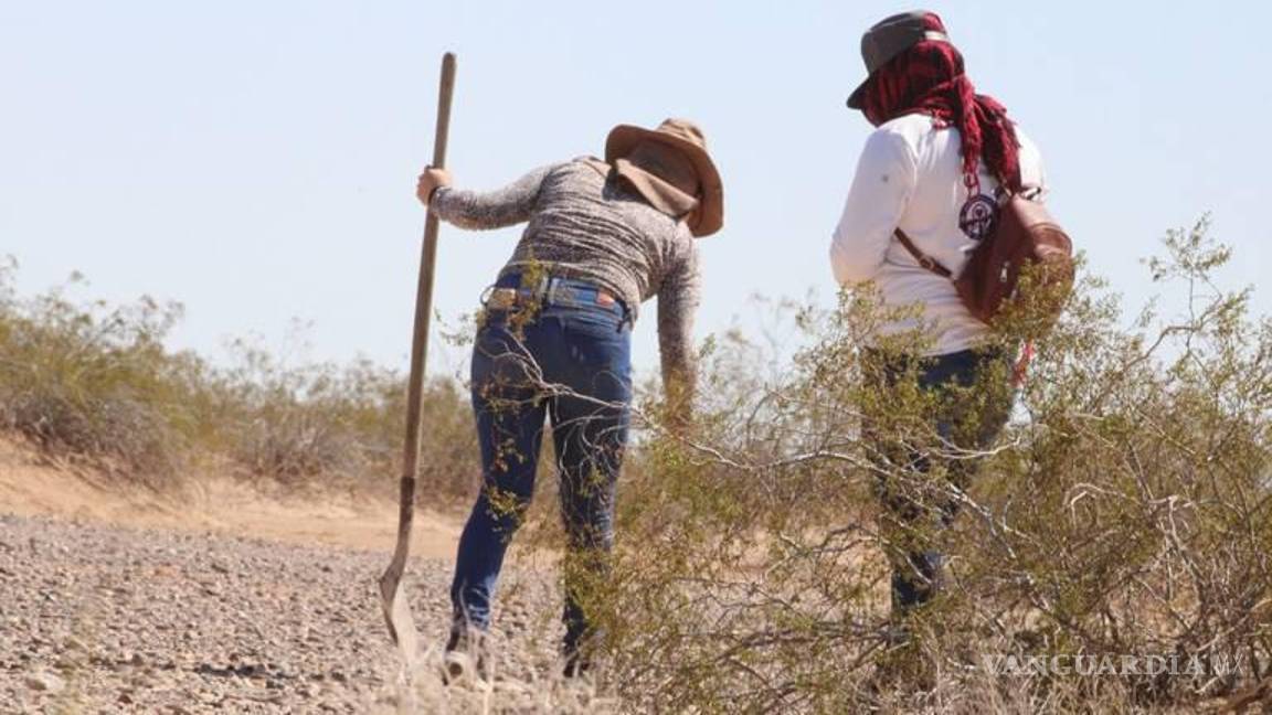 $!El CED insta a fortalecer el Mecanismo de Protección para Personas Defensoras de Derechos Humanos y Periodistas y los mecanismos locales de protección de víctimas