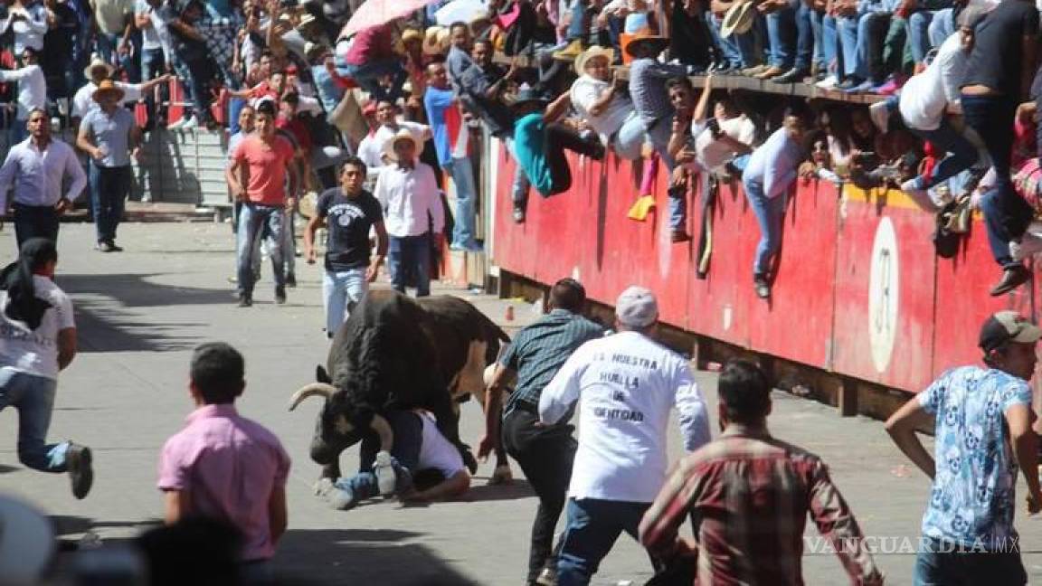 Oreja y rabo... ¡para el toro!: Las impresionantes embestidas de toros que dejaron 20 heridos en la Huamantlada 2023 (videos)