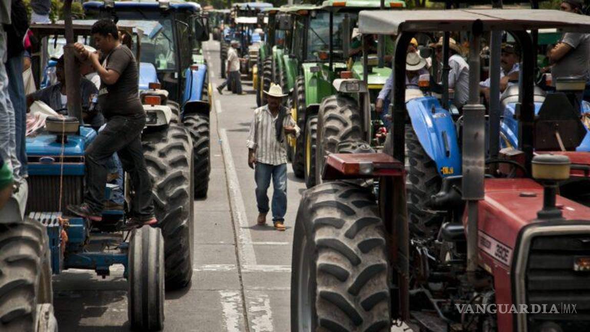$!Aseguraron que en el ciclo otoño-invierno les pagaron en 9 mil 400 pesos por tonelada de trigo y actualmente les ofrecen 5 mil pesos
