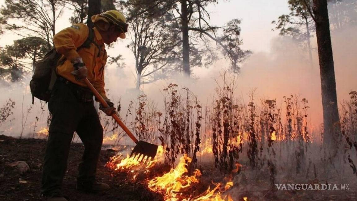 $!La participación ciudadana en la prevención de incendios fue promovida por el gobierno estatal, involucrando a las comunidades cercanas a zonas vulnerables.